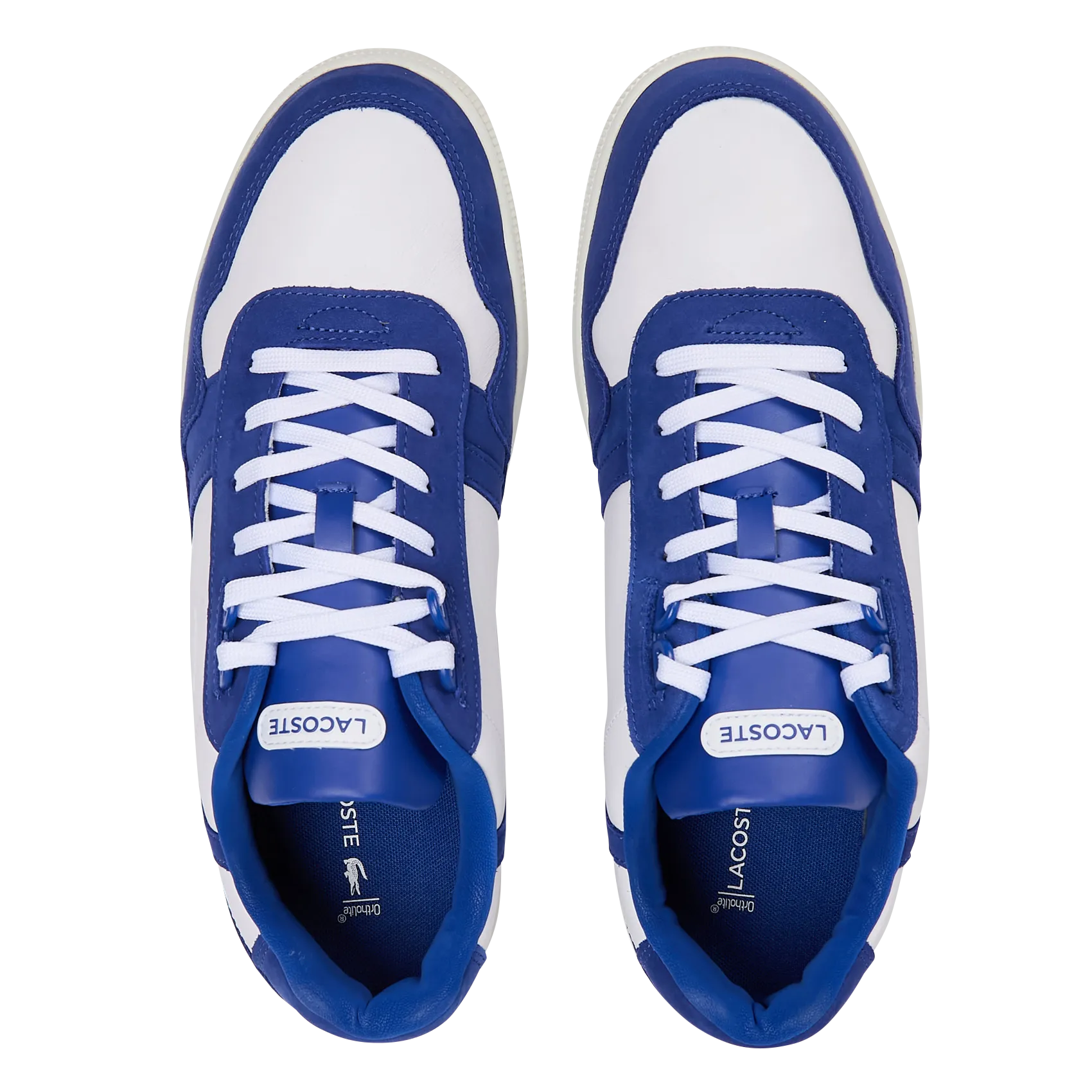 LACOSTE Zapatillas bajas de ante en azul