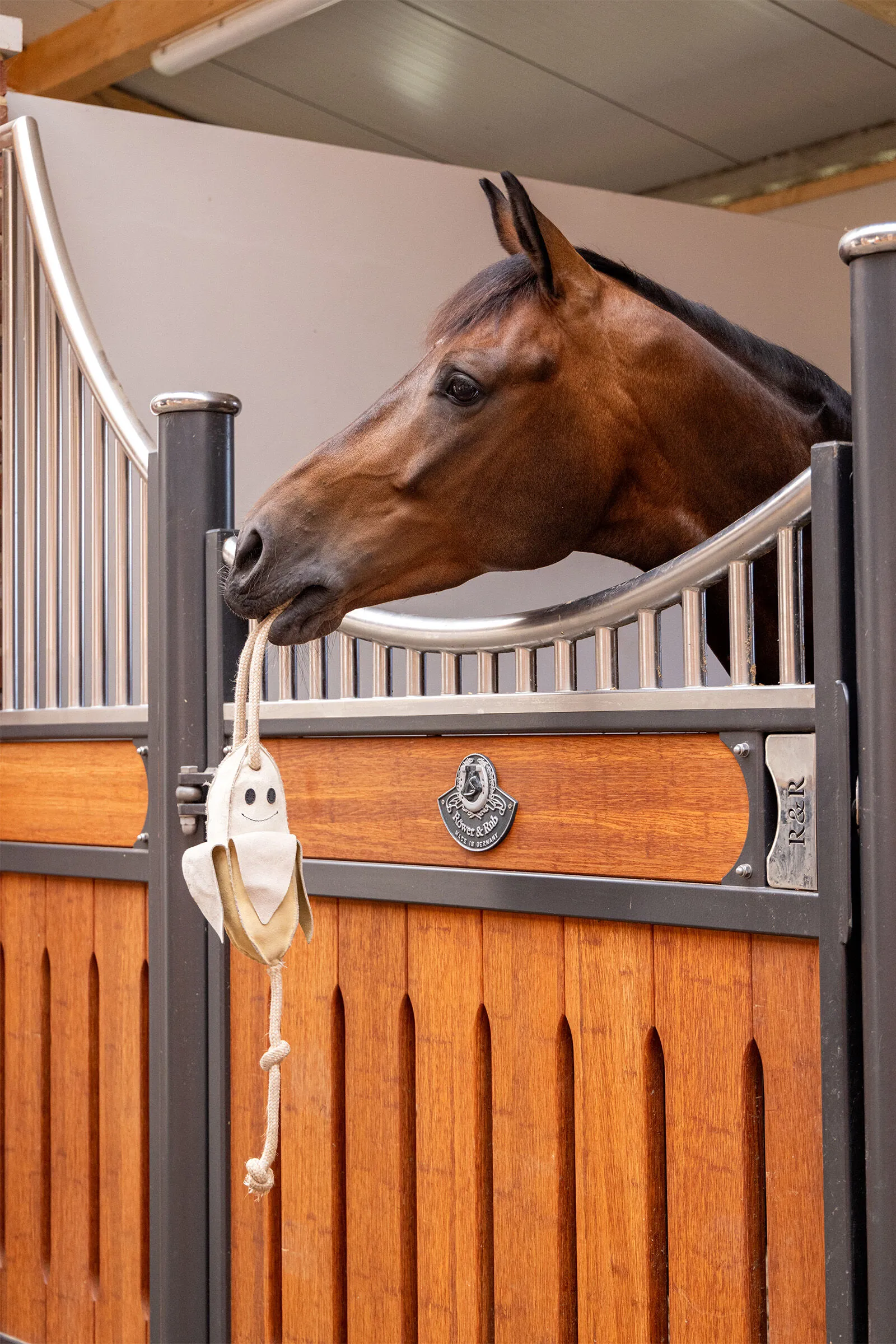 LeMieux Juguete para Caballo