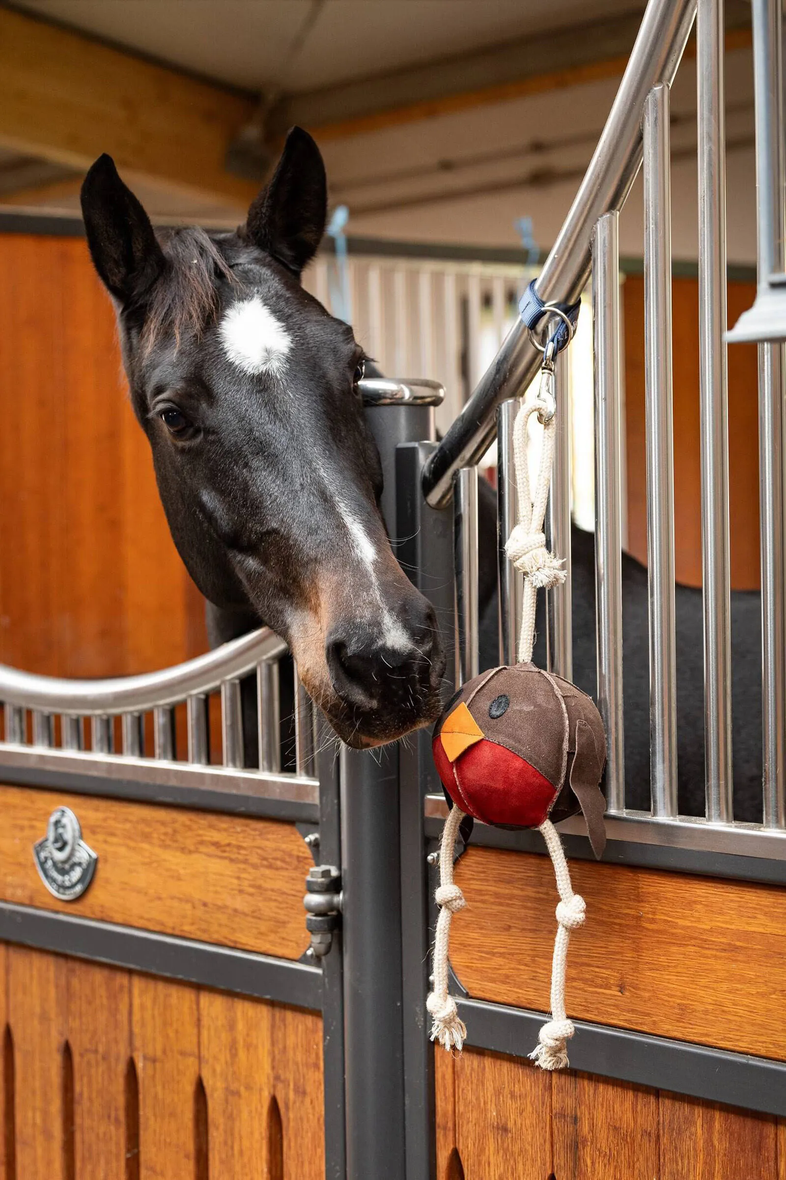 LeMieux Juguete para Caballo